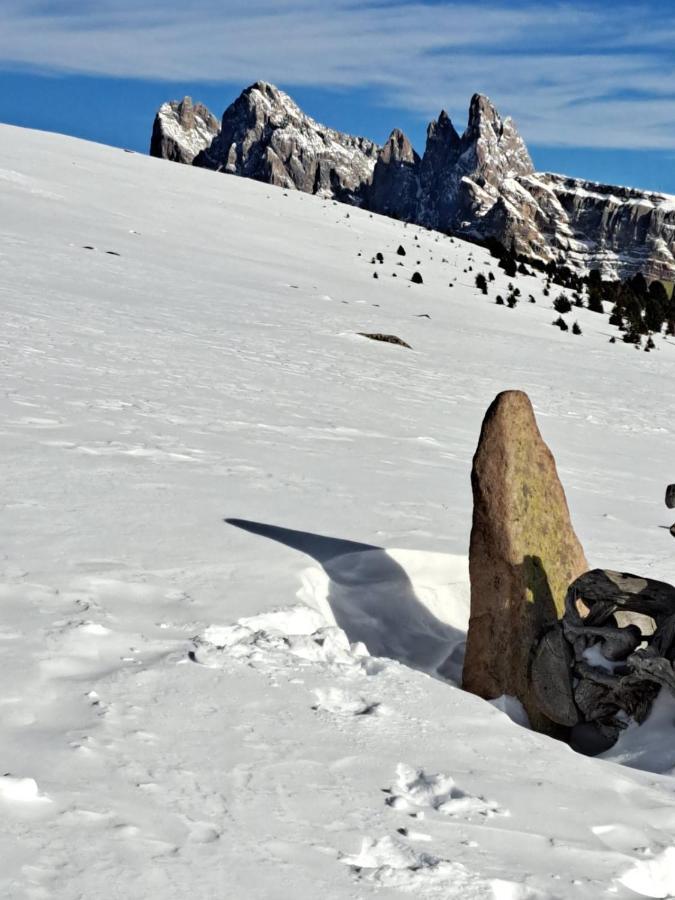 Residence Casa Metz Santa Cristina Val Gardena Dış mekan fotoğraf