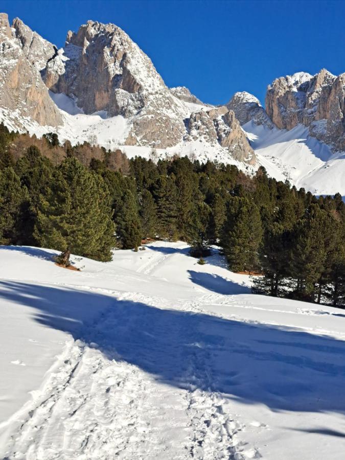 Residence Casa Metz Santa Cristina Val Gardena Dış mekan fotoğraf