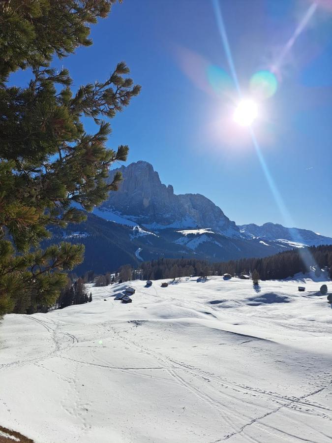 Residence Casa Metz Santa Cristina Val Gardena Dış mekan fotoğraf